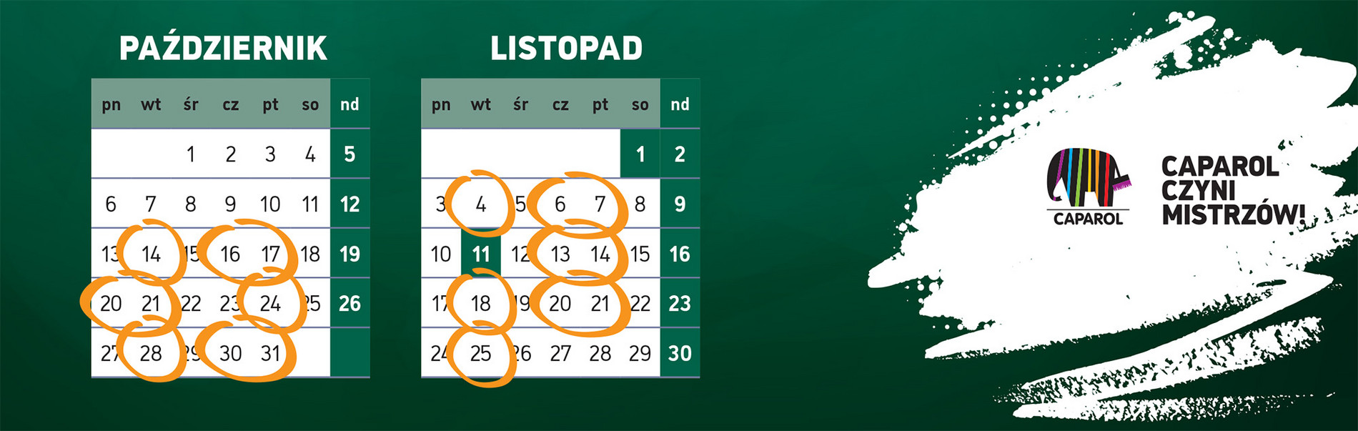 terminy szkoleń caparol