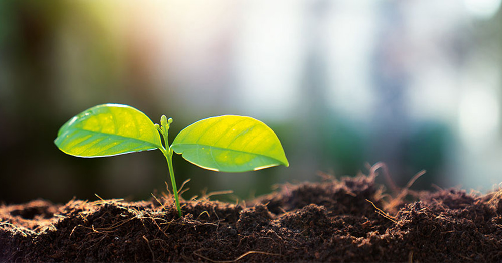 Zrównoważony rozwój