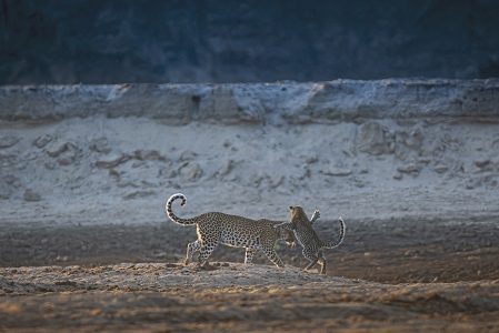 Świat kolorów 3. Siła energii