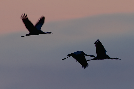 Świat kolorów 1. Bogactwo różnorodności