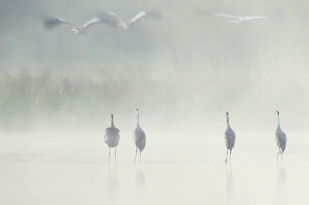 Świat kolorów 2. Delikatność