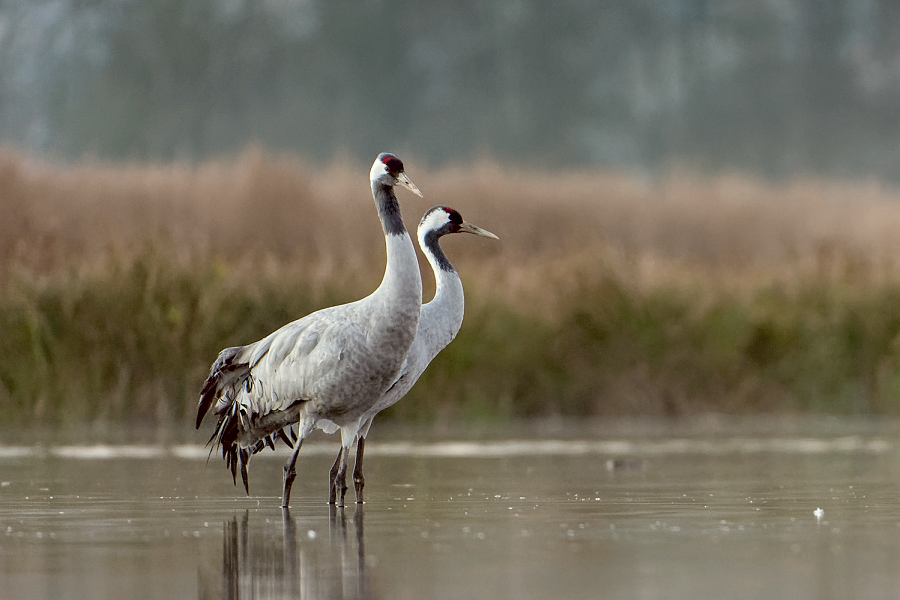 Świat kolorów 3. Pełnia życia