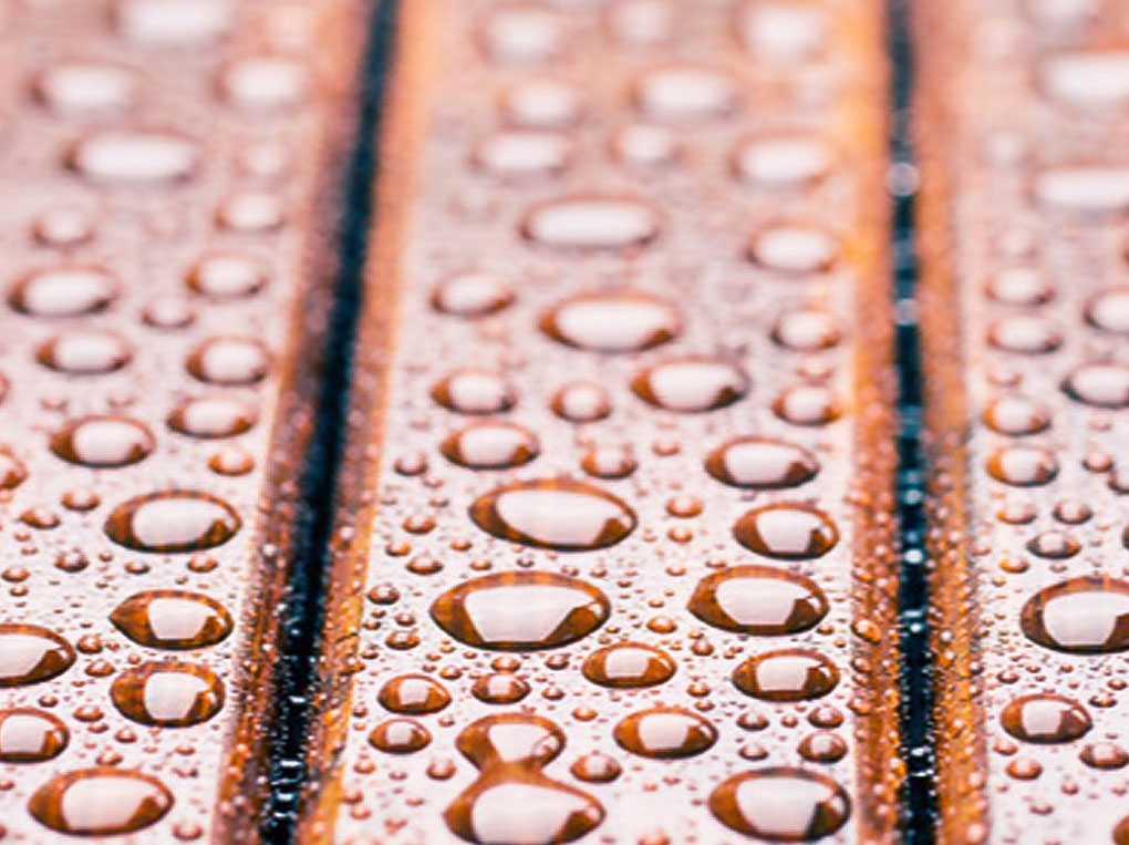 Zagrożenia dla drewna