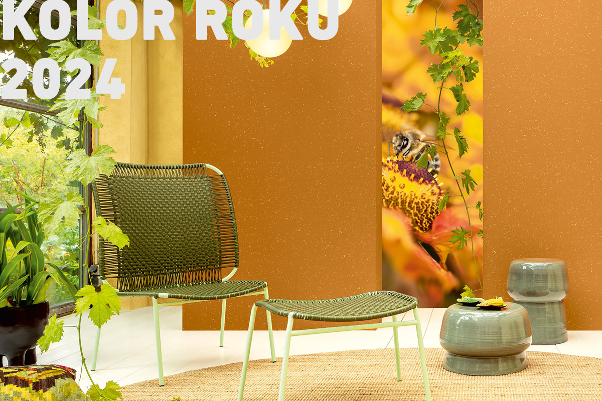 KOLOR ROKU 2024