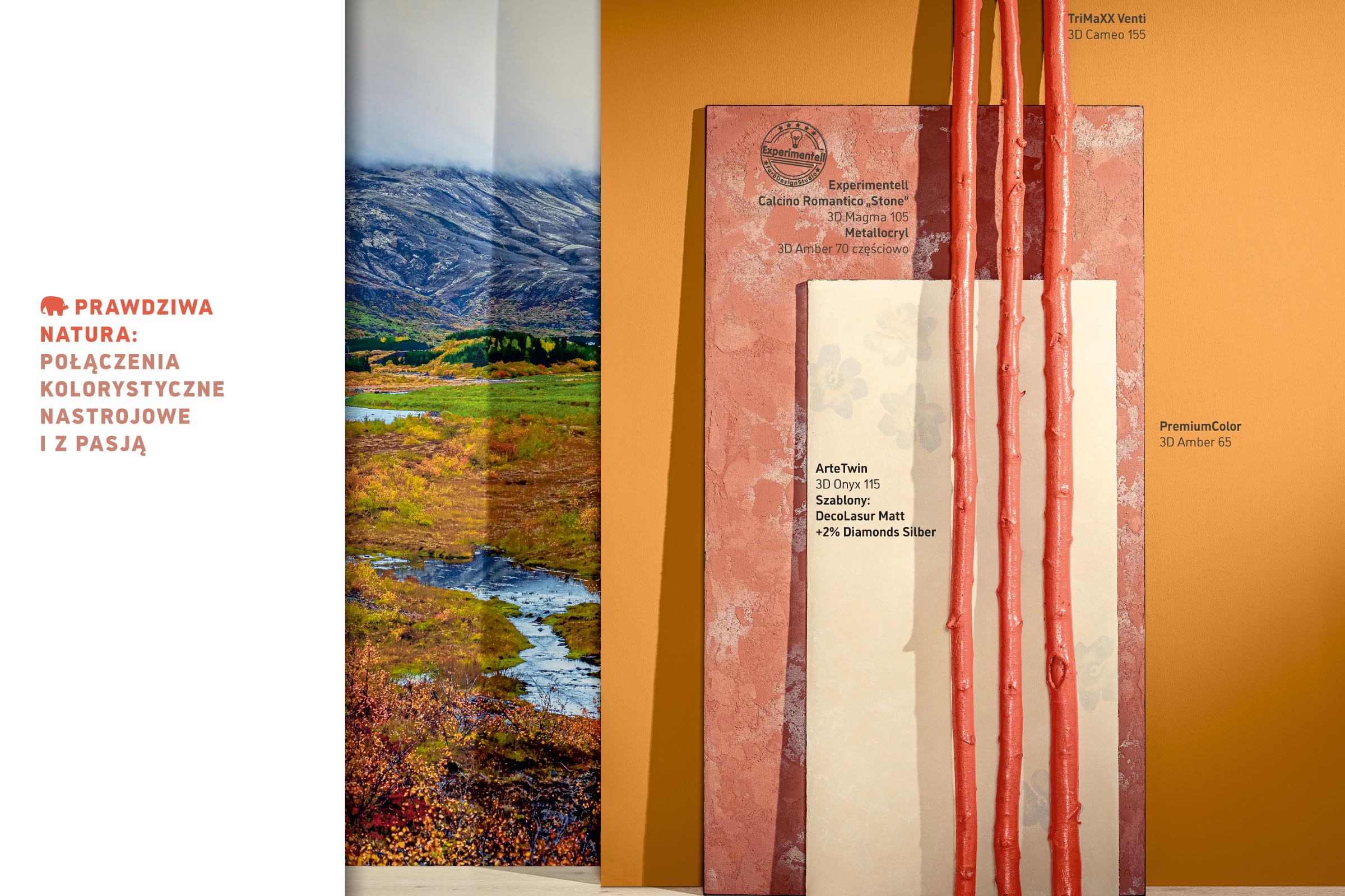 kolory przyrody w domu